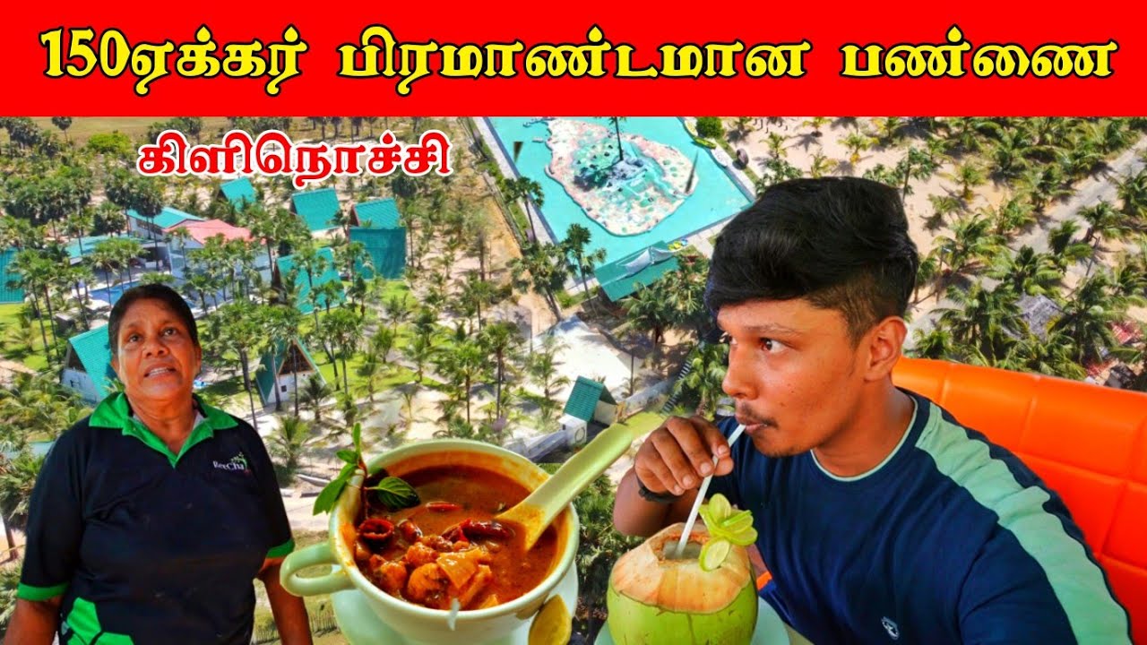 கிளிநொச்சியில் இப்படி ஒரு இடமா / Organic Farm / Tamil Bros