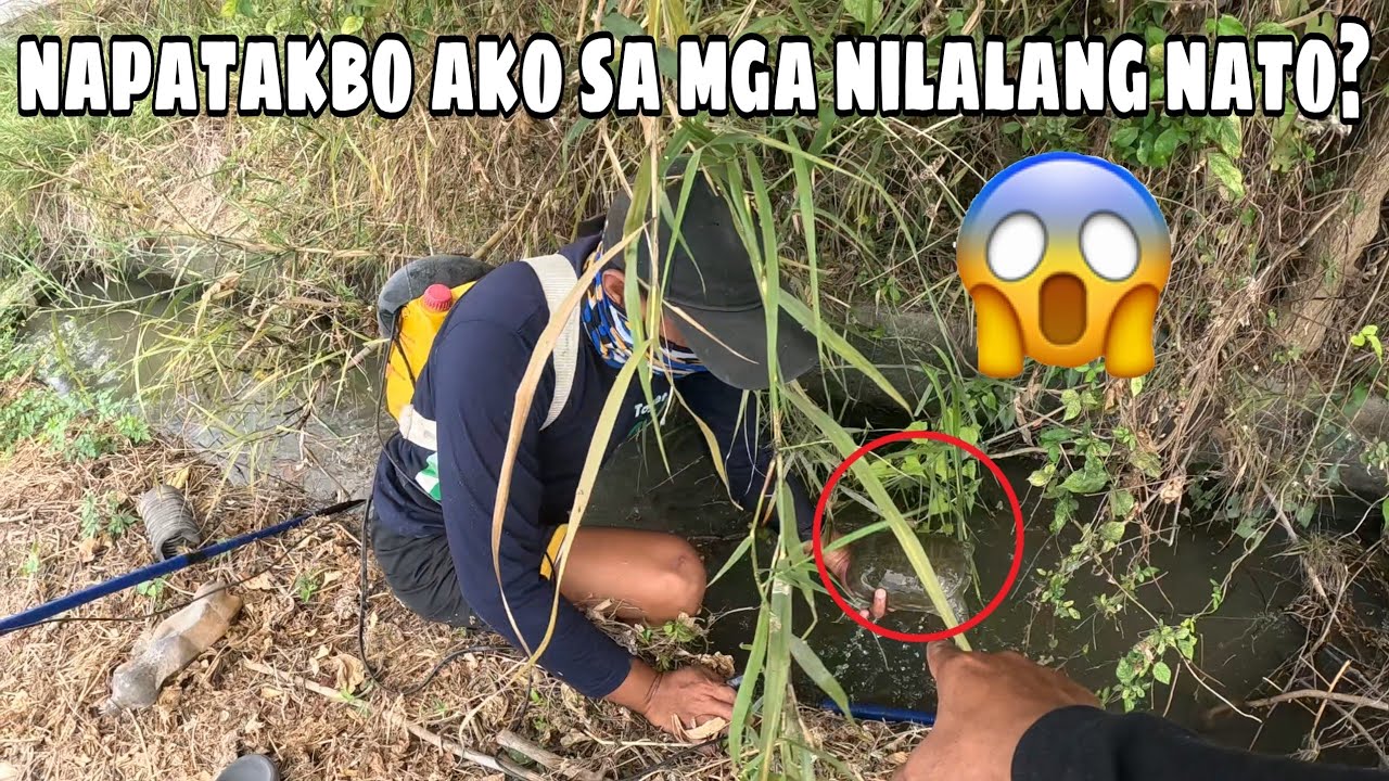 Napatakbo ako sa mga kakaibang nilalang nato?