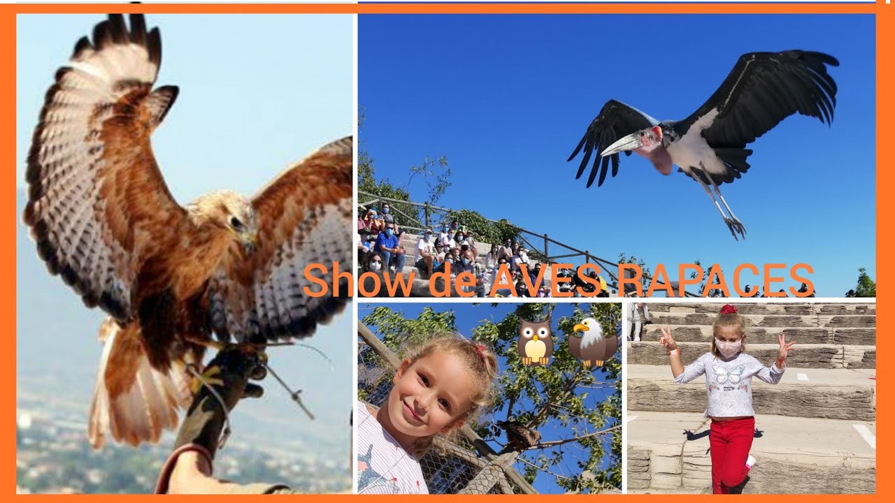 TOUR por el ZOO de Terra Natura.SHOW!!! 🦅 AVES RAPACES🦉Jugando en familia.