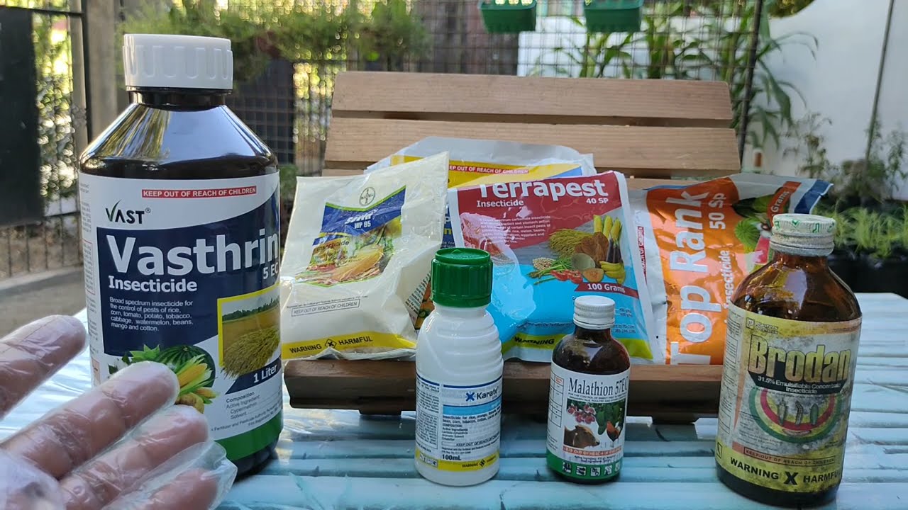 Ibat-ibang Uri/Klase ng Plant Insecticide (Different Kinds of Plant Insecticide) - The Basics