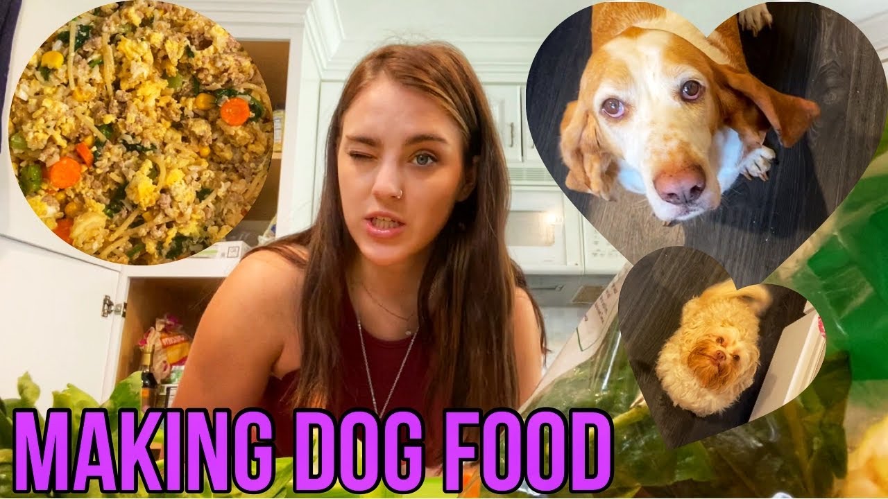 Cooking for my Basset Hound and Shihpoo! HOMEMADE DOG FOOD