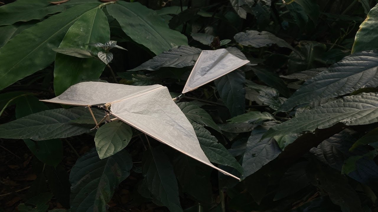 Watch me build a rubber powered ornithopter