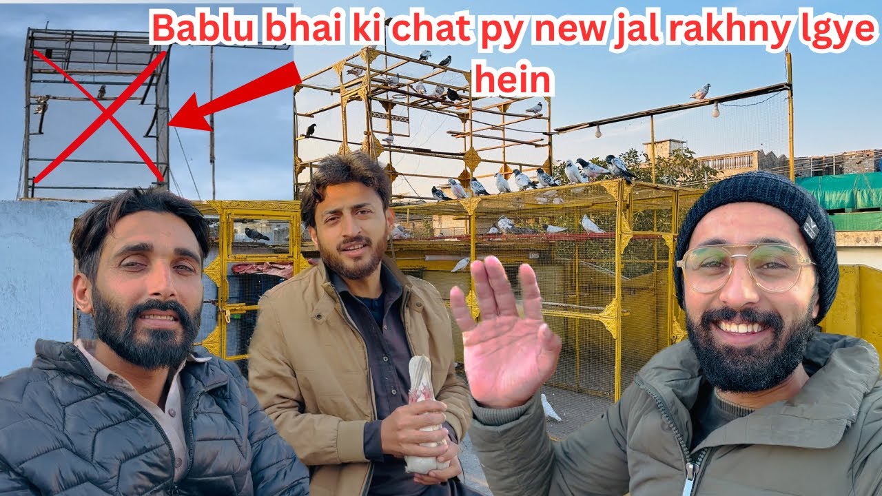 Kafi time bad aj kabootron ko nikal k uraya 😱 | Dar pigeons club | 