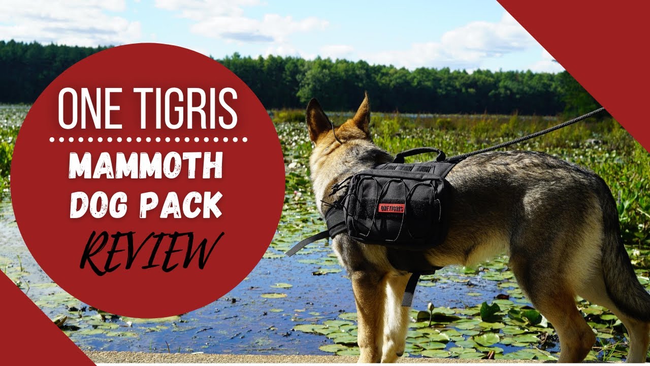 OneTigris Mammoth Dog Pack - Review & Overview