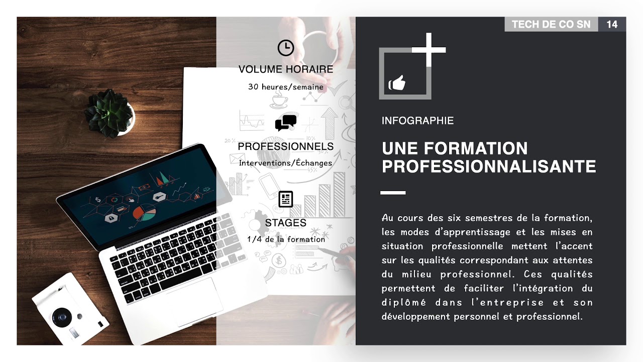 BUT TC   JPO   2  L'organisation du BUT TC