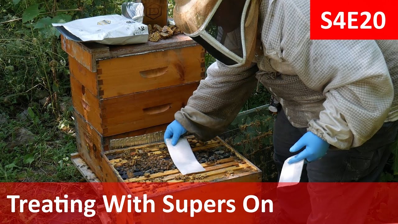 Treating For Mites With Honey Supers On.