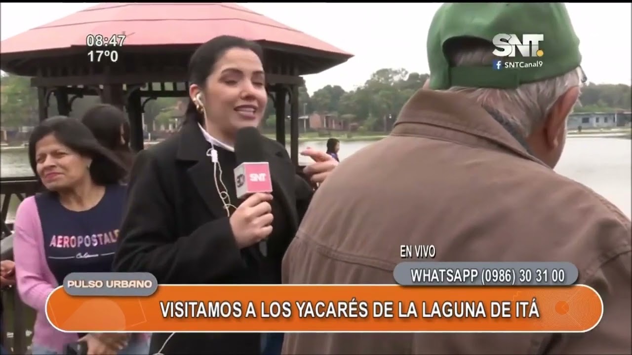 Visitamos a los yacarés de la laguna de Itá