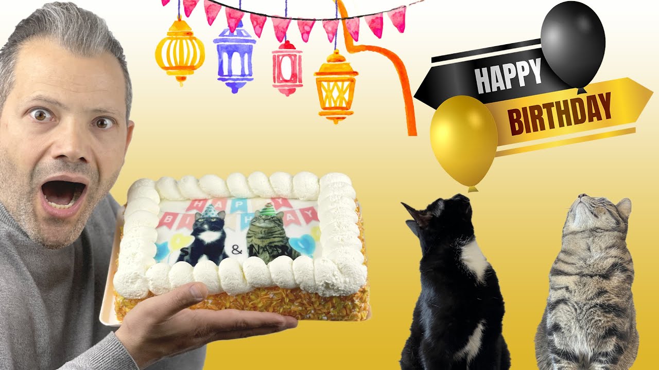 أول عيد ميلاد لنار و شوق 🎂 قطط عسل 😻 ردة فعل غير متوقعة 🙀 Cats Birthday Cake