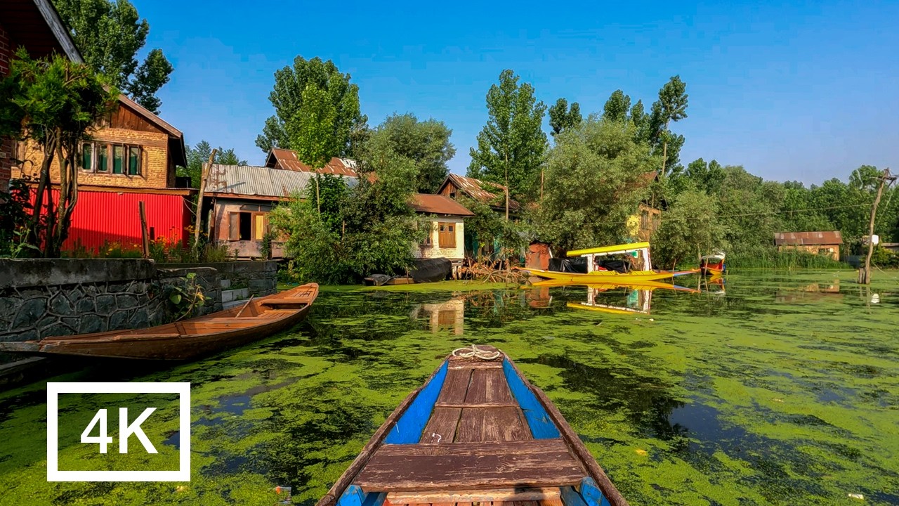 Shikara Ride in Srinagar Kashmir | Dal Lake Narrow Canal | Morning Tour 4K