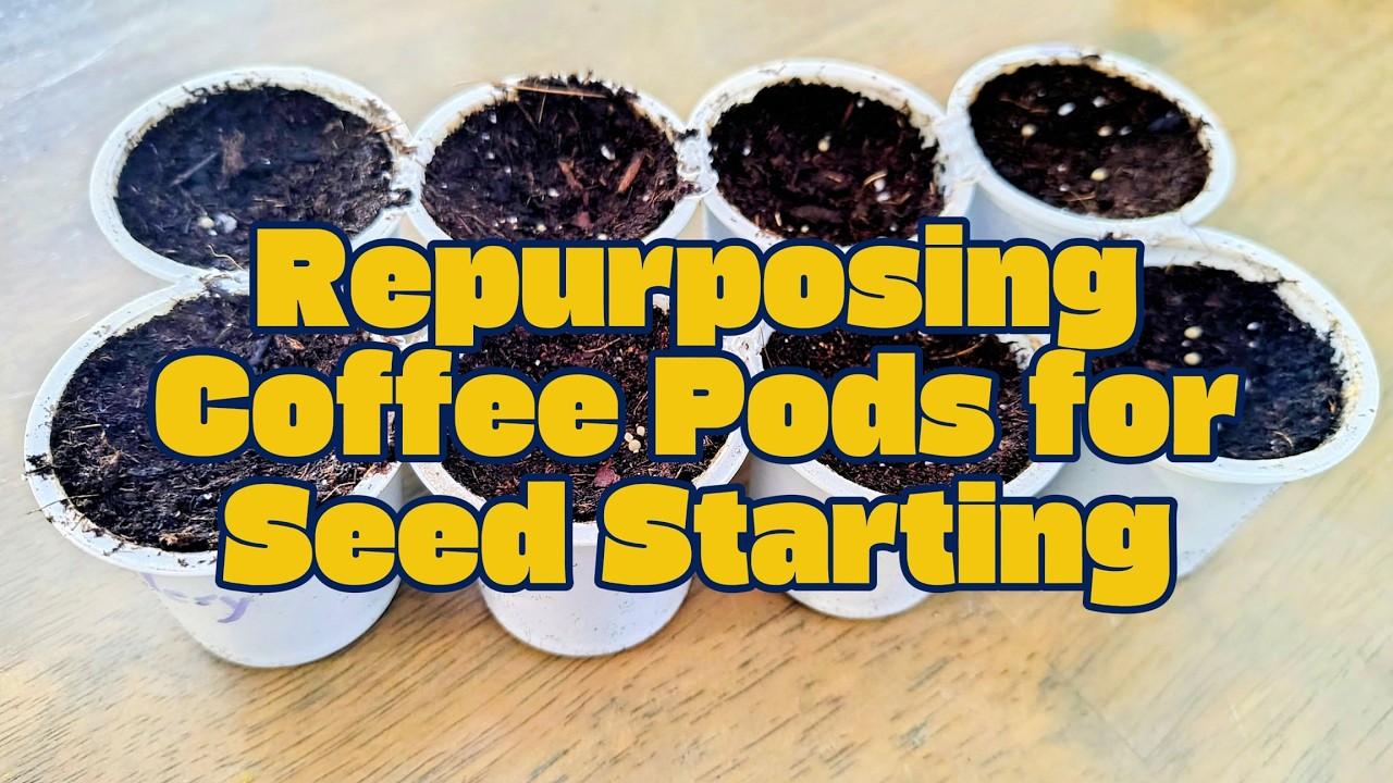 Don’t Throw Away Your Coffee Pods! Turn Them Into Seed Starters 🌱☕