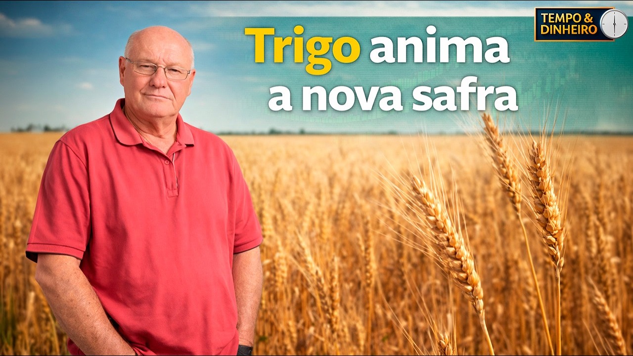 Trigo abre boas expectativas para nova safra e anima o mercado