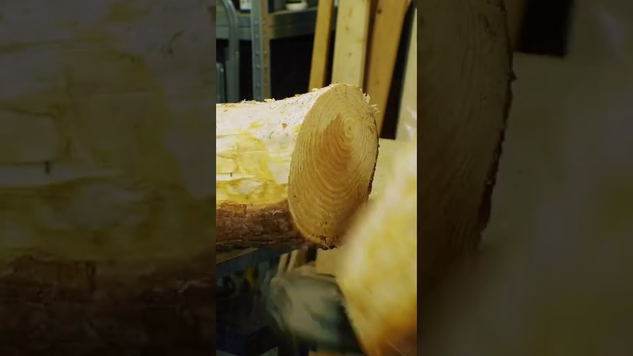 ПРИКЛЮЧЕНИЯ КОРЯГИ! Тизер. 