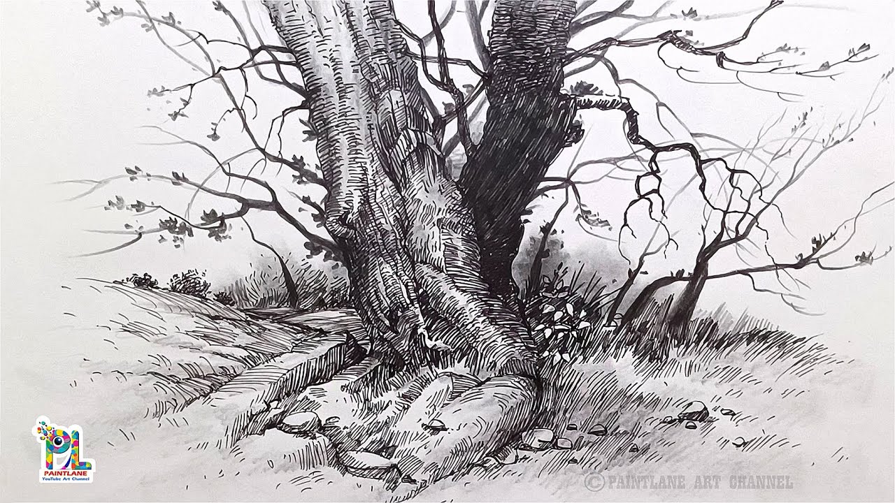 How to draw Tree in Nature with Pen and Pencil Art | Easy Pen Drawing Art | Forest Trees Art