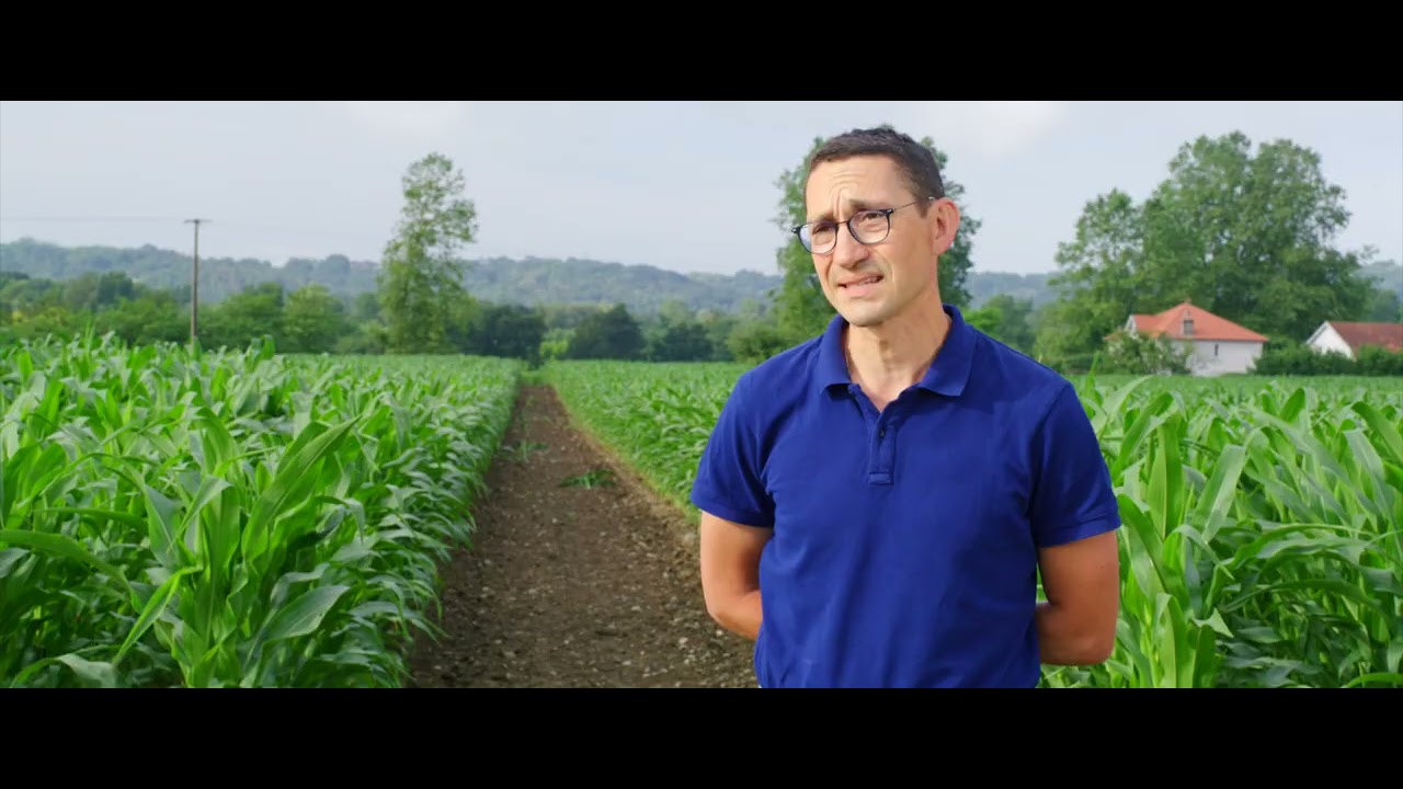 Découvrez DKC4598 avec nos sélectionneurs DEKALB