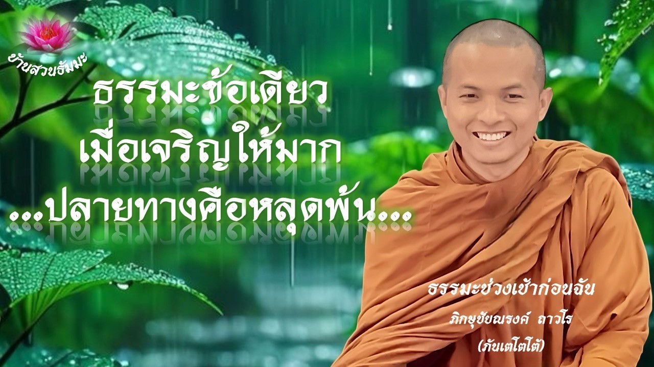 12 ก.พ. 69 | เช้า | ธรรมะข้อเดียวเมื่อเจริญให้มาก ปลายทางคือหลุดพ้น | ภันเตโตโต้ : บ้านสวนธัมมะ