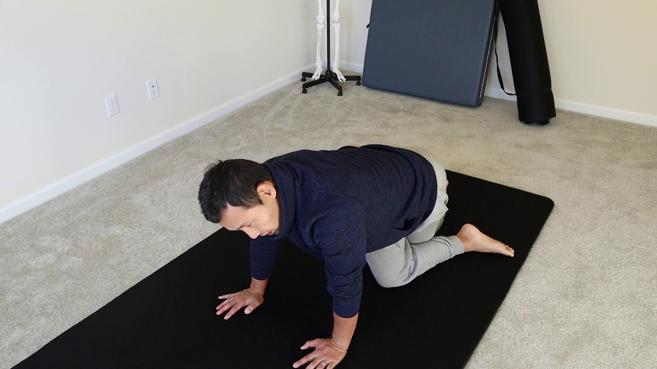 Feldenkrais Crawling For Hip Mobility and Core Strength
