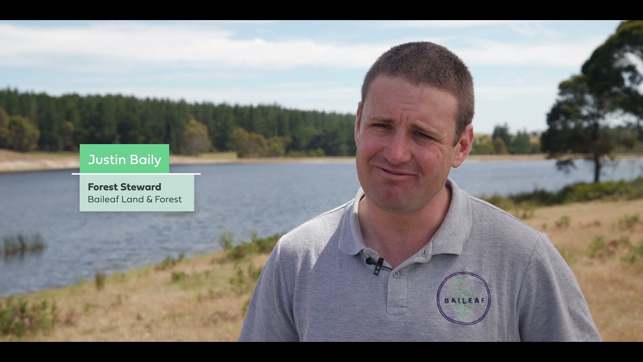 Managing Trees with Rob Smith & Justin Baily