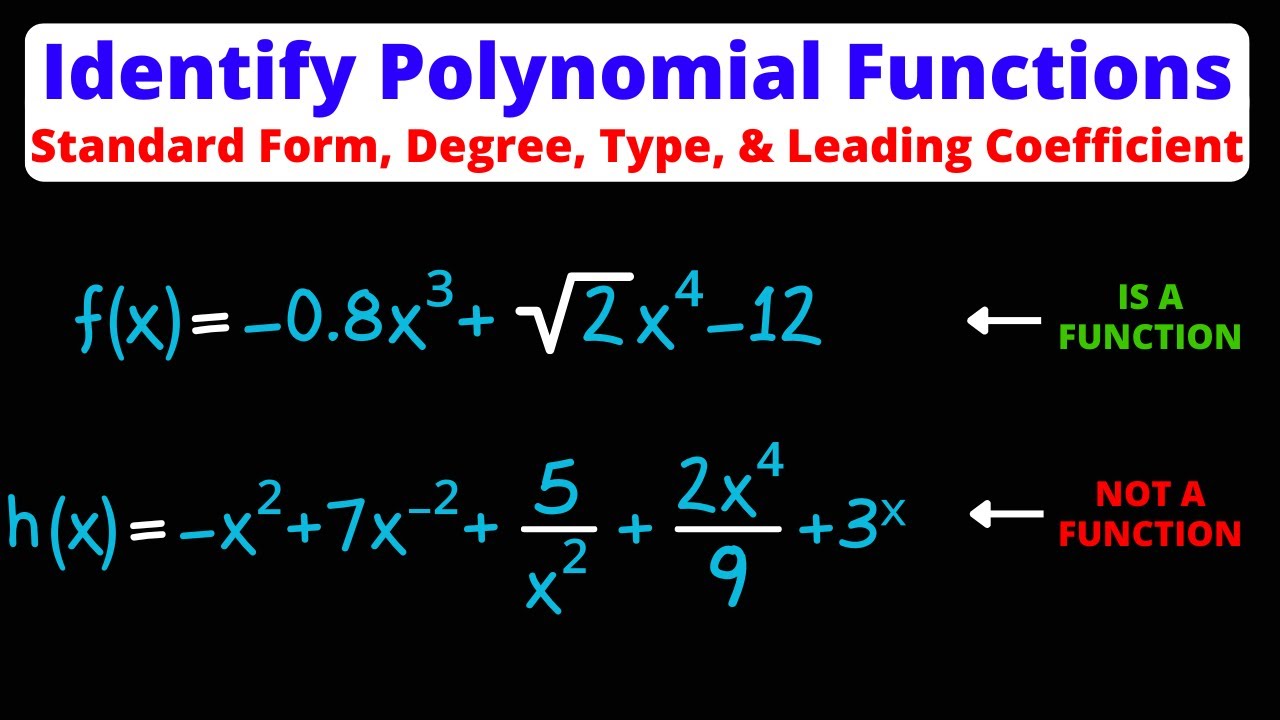 Identify Polynomial Functions - Degree, Type, & Leading Coefficient | Eat Pi