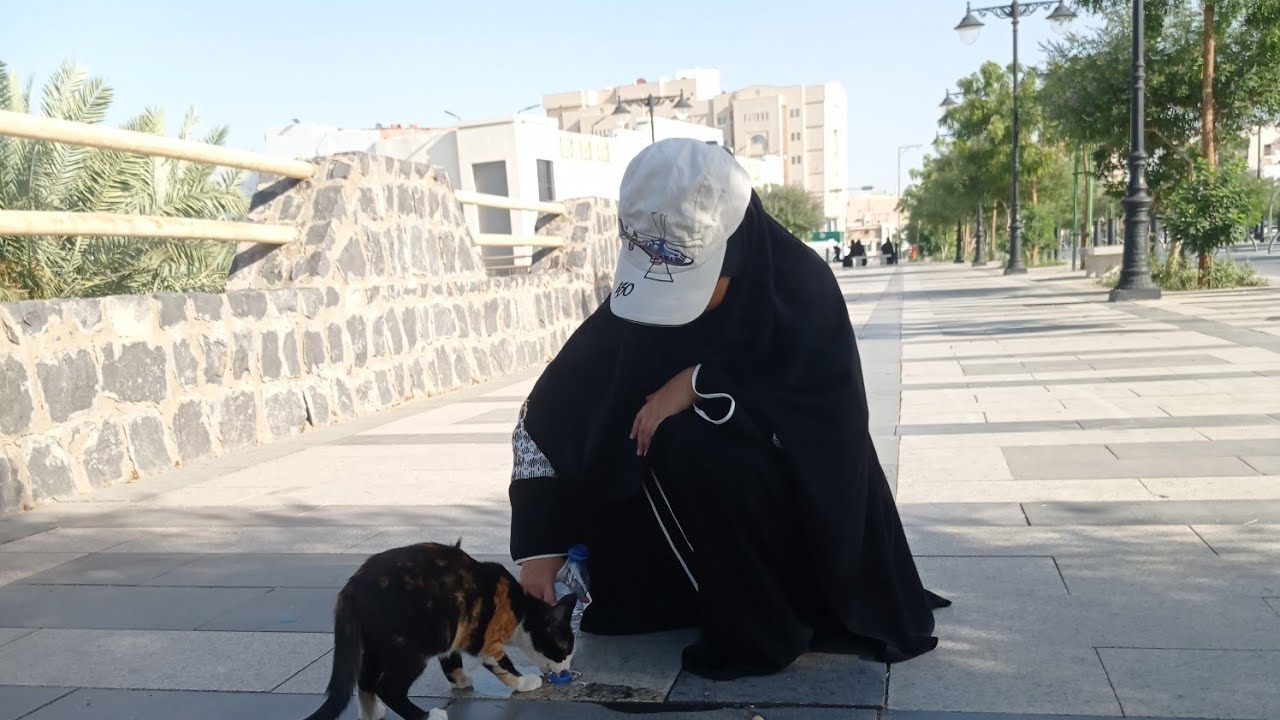 Angkot Mekah - Madinah