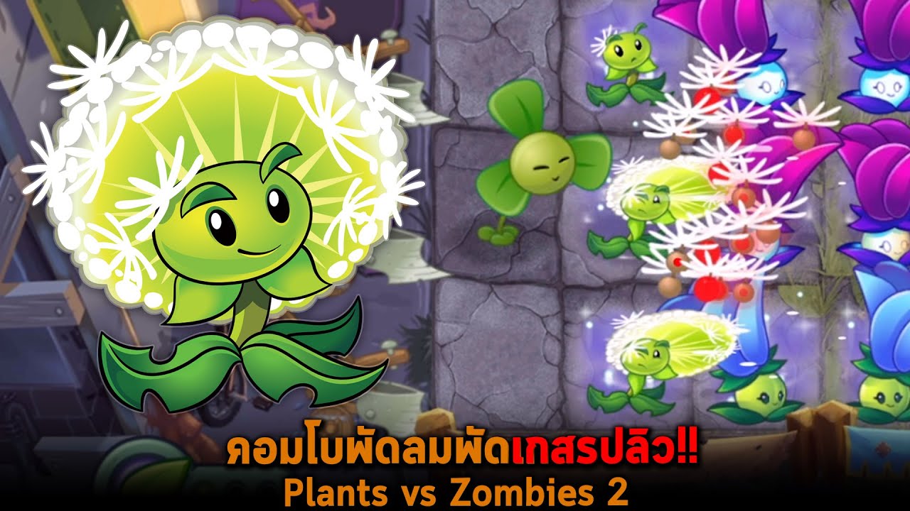 คอมโบพัดลมพัดเกสรปลิว Plants vs Zombies 2