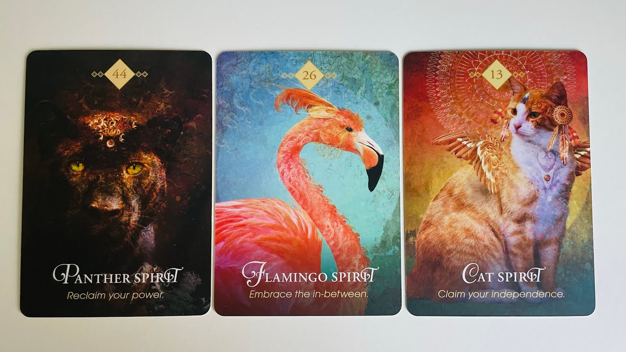 Your Future Spouse - Pick a Card - Timeless Tarot
