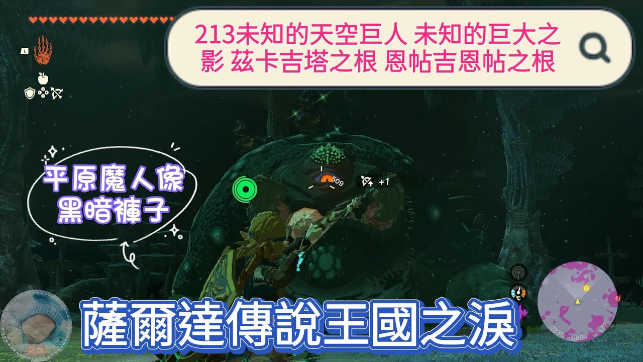 【王國之淚】213未知的天空巨人 未知的巨大之影 兹卡吉塔之根 恩帖吉恩帖之根 平原魔人像 黑暗褲子【薩爾達傳說】