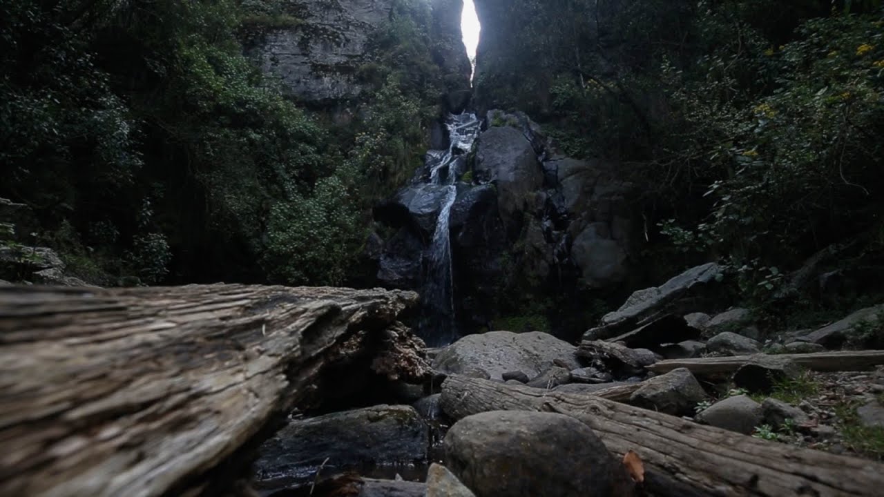 Los Dinamos: Cooperativa de ecoturismo busca proteger el bosque y el agua