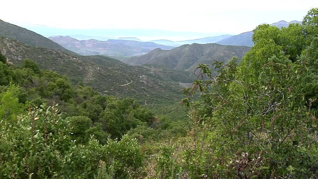 Tesoros de Chacabuco, Santuario de la Naturaleza Cerro El Roble, Til Til