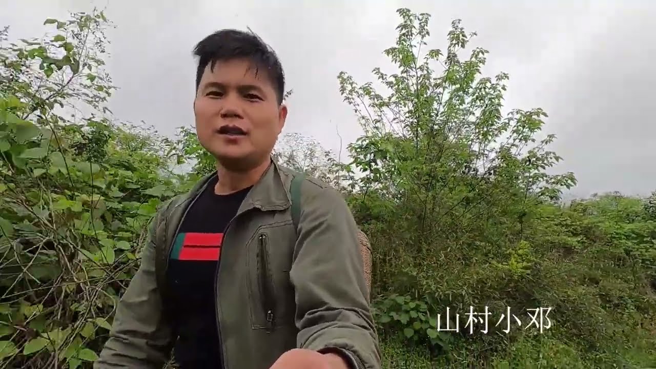 太惊喜了，几天没来居然这么多金竹笋，真的把我惊到了