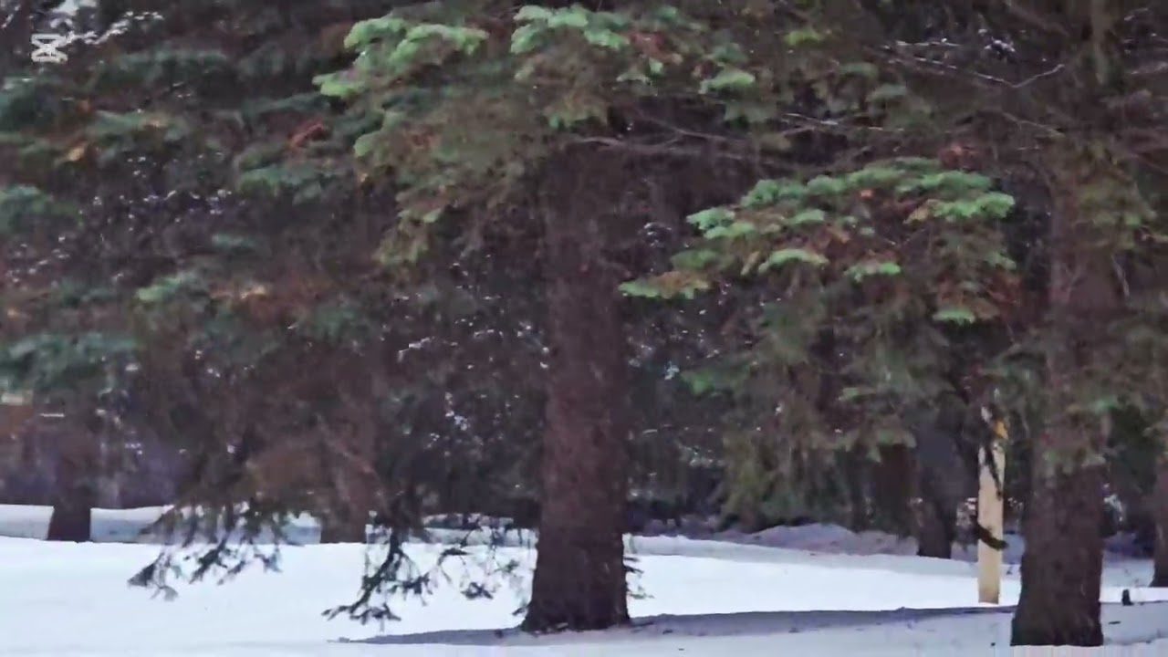 “Snow + Rain = Just Another Day in Canada”