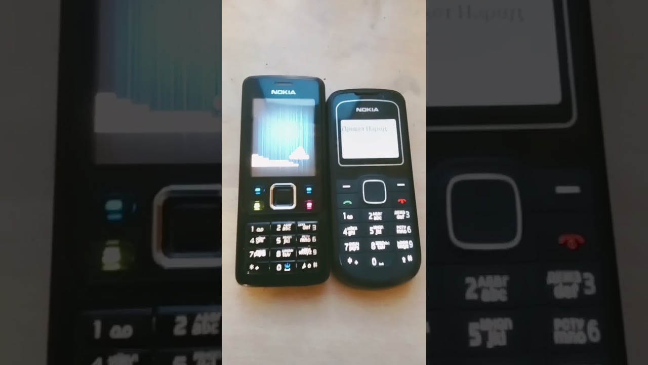 Nokia 6300 vs Nokia 1202