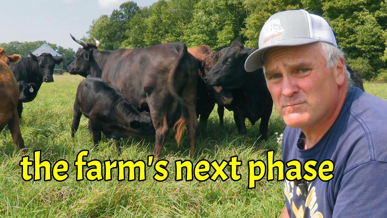 We've been Busy! Cleanup Continues & Heading Into a New Farm Phase