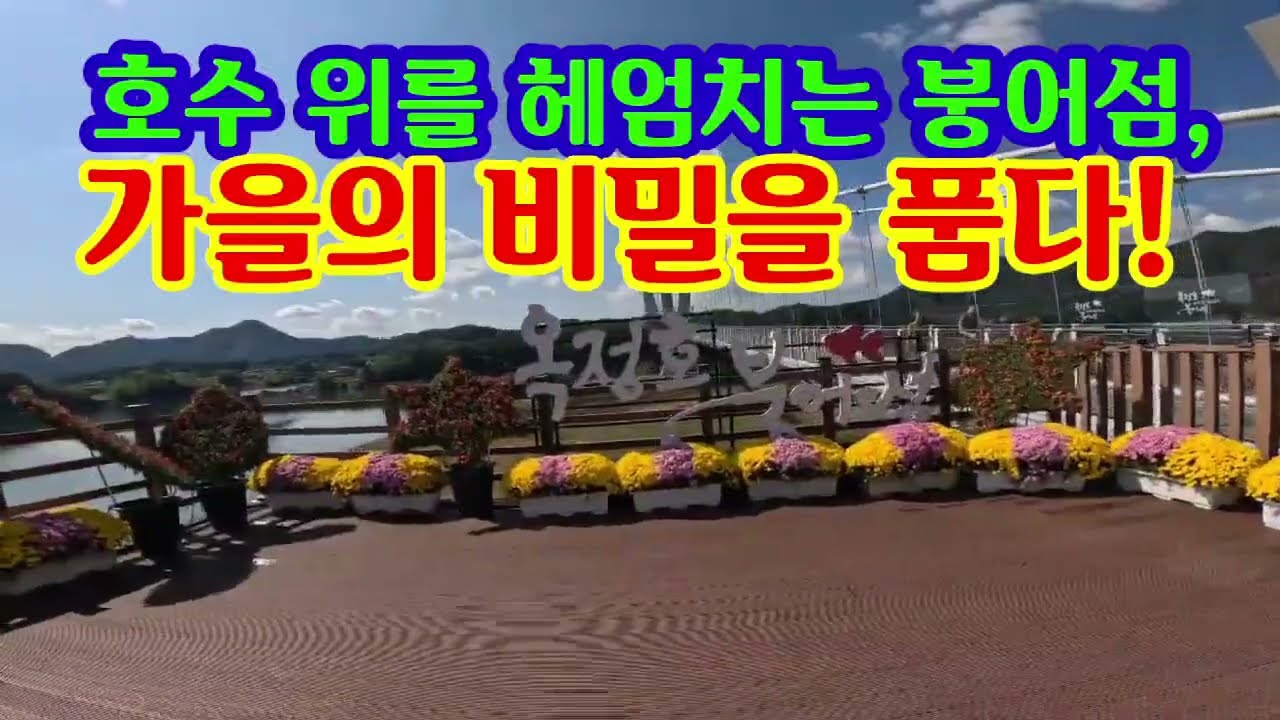 호수 위를 헤엄치는 붕어섬, 가을의 비밀을 품다!