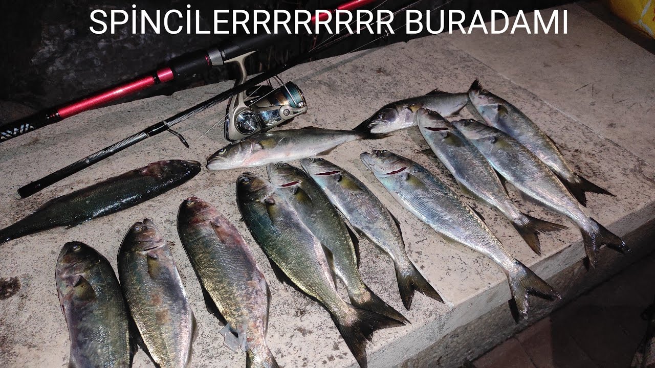 Rapala mı Boyadım Çok Efsane Balık Aldım !!! İSTANBUL SPİN İLE LÜFER VE SARIKANAT AVI !! 27.05.2021