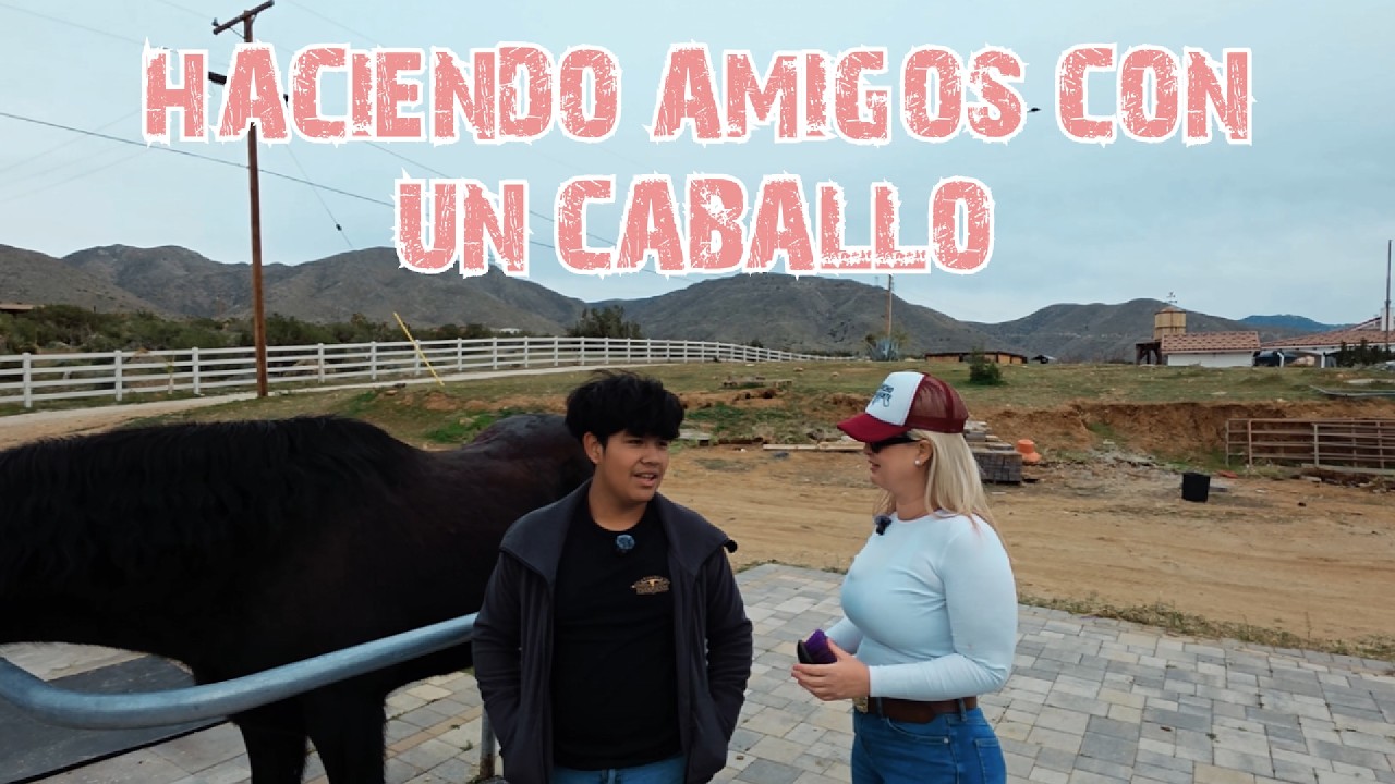 Aprendiendo a ser amigo de un caballo