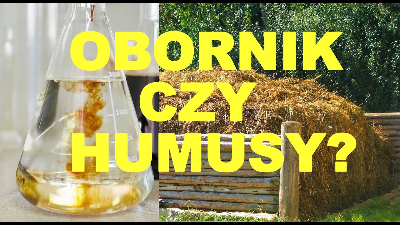 Humusy czy obornik,  humusy z bańki czy tylko obornik? #rolnictwo