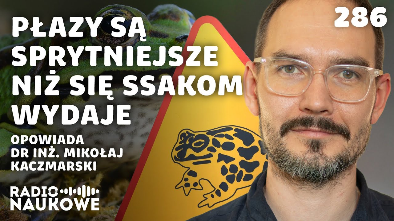 Płazy – hibernujący śpiewacy o trujących skórach | dr inż. Mikołaj Kaczmarski