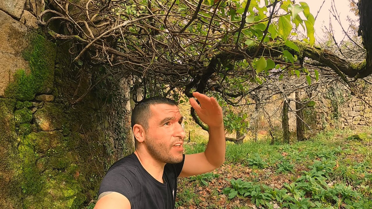 Me gustaría RESTAURAR esta CASA ABANDONADA Sitios abandonados | Urbex Exploración urbana. EXPLORANDO