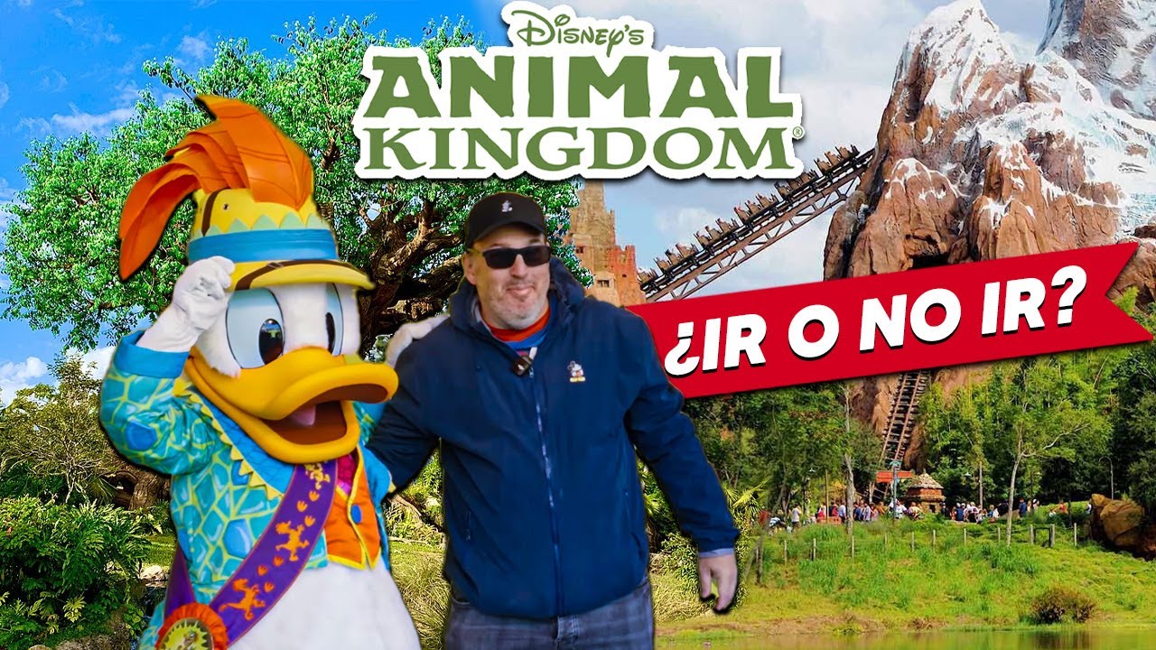 Vale la pena visitar ANIMAL KINGDOM este 2025?