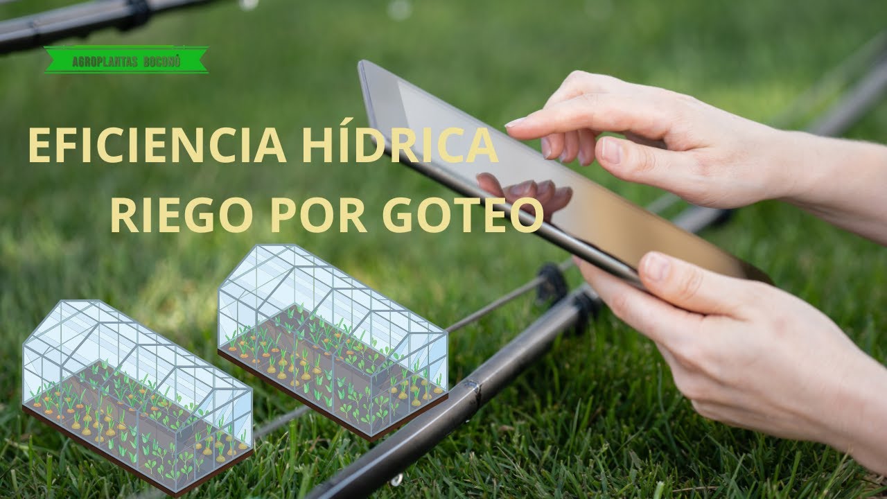 RIEGO POR GOTEO ¿cabezal de RIEGO y Eficiencia hídrica?