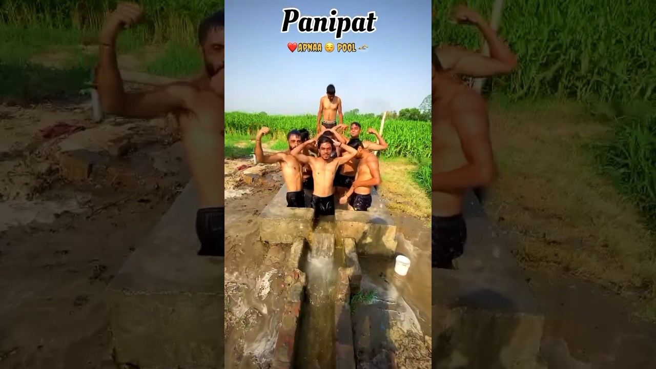 Apna pool 🏊 #shortsfeed #shorts #panipatvlogs #swimmingequipment