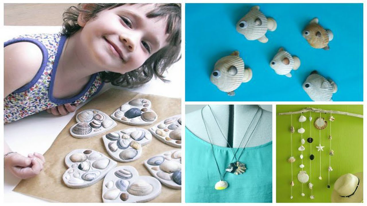 Ideas For Displaying Seashells