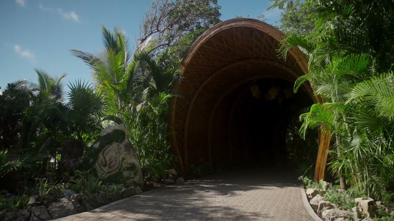 Welcome to Palmaïa-The House of AïA