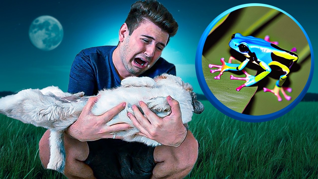 SOCORRO!! UM SAPO VENENOSO ATACOU O MEU CACHORRO!