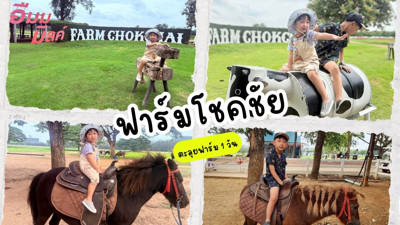ตะลุยฟาร์มโชคชัย ปากช่อง  1วัน | กัสแสบเซนซ่า
