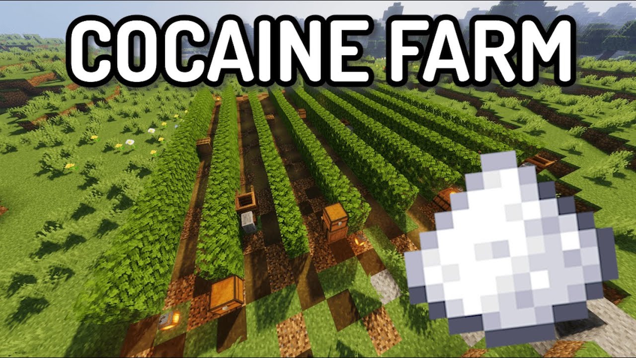 How To Build a Cocaine Farm In Minecraft | Tutorial
