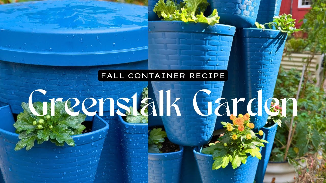 Fall Container Garden Ideas | GreenStalk Planter with Mums, Coleus & Ornamental Kale