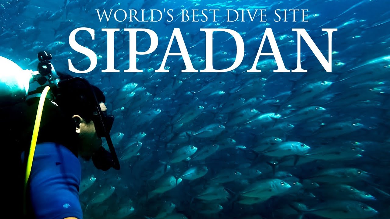 Sipadan, Sabah, Malaysia / Mabul, Sabah, Malaysia / Diving In Sabah, Malaysia