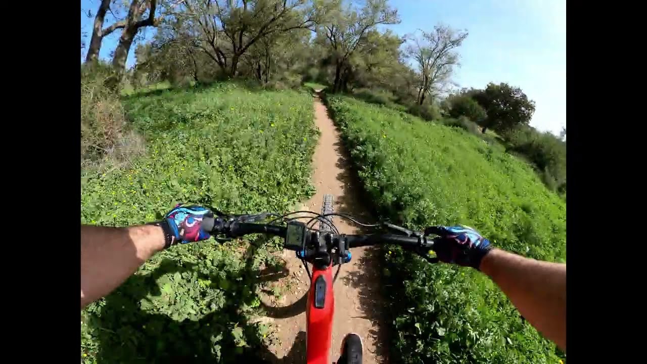 Levo SL MTBiking @  Benshemen forest red trail