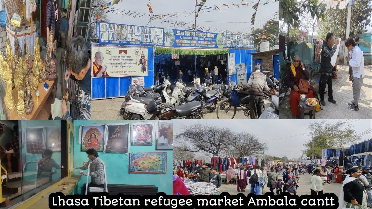 Lhasa Tibetan refugee market Ambala cantt 2026.#tibetanmarket #tibetanvlogger 